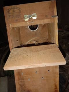 love birds breeding box