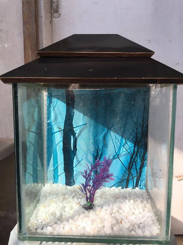 mini fish aquarium front 1 X 1 feet, 1 feet x 9 inches side 2