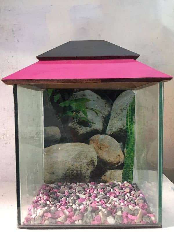 mini fish aquarium front 1 X 1 feet, 1 feet x 9 inches side 3