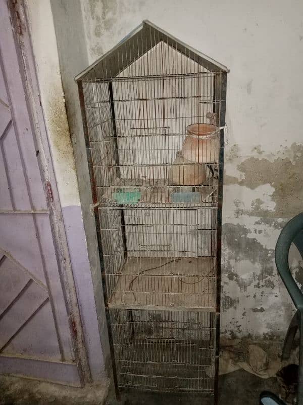 Bagies Cages for sall 1