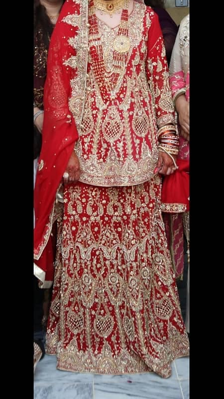 Barat lehnga & Walima Maxi 1