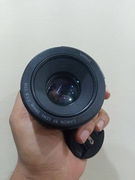 canon 50mm 1.8 stm lens 1