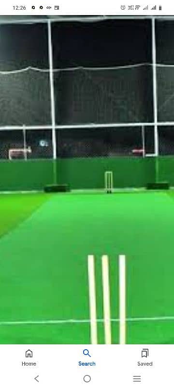 Cricket Net 2