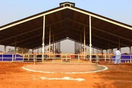 Dairy Farm roof shed