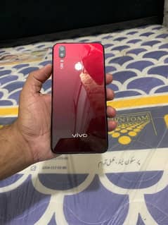 vivo