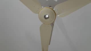 original millat celling fan new  ha only 2 month use hua good fan 0