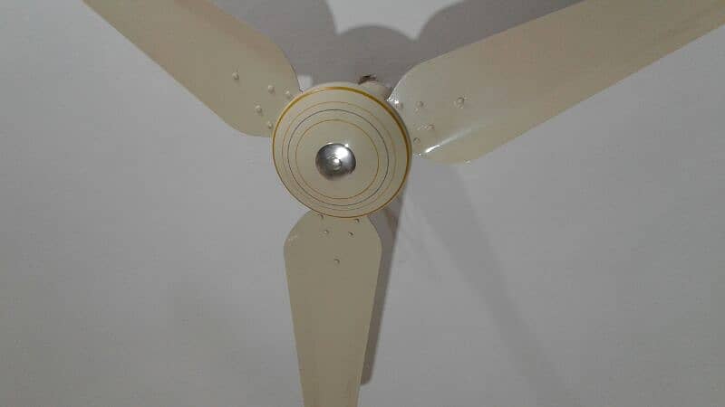 original millat celling fan new  ha only 2 month use hua good fan 1