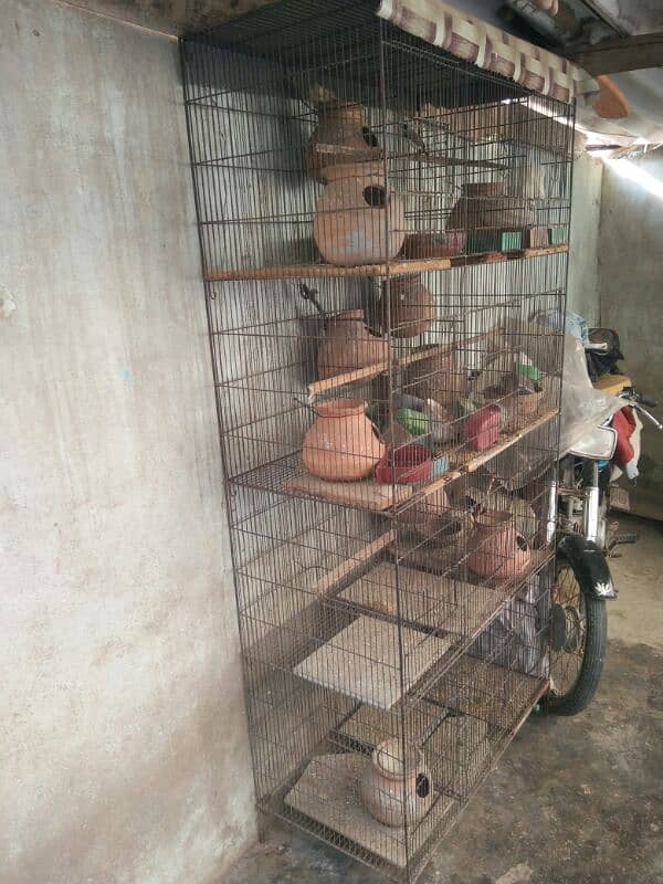 12 khany ka cage for sale 1