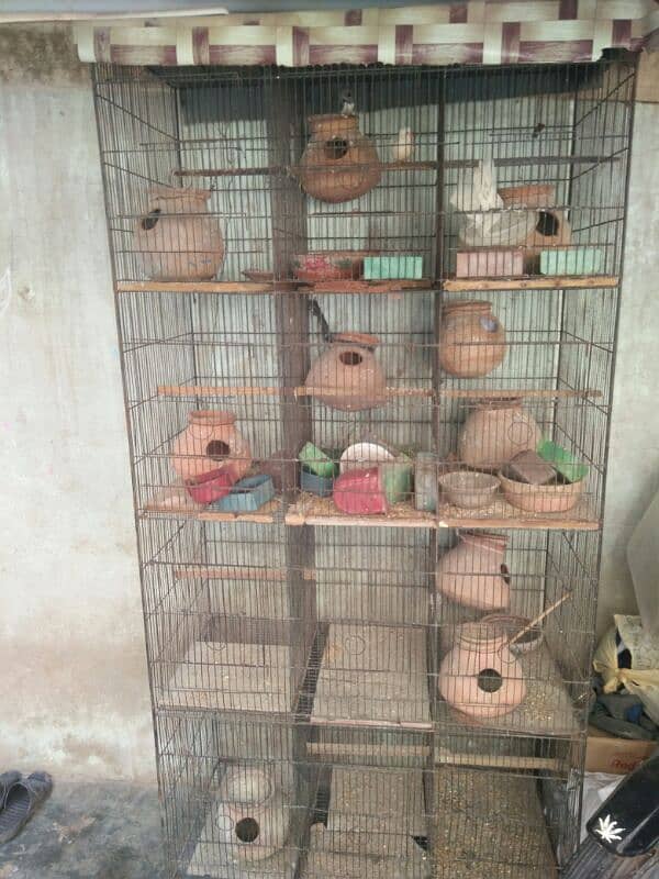 12 khany ka cage for sale 2