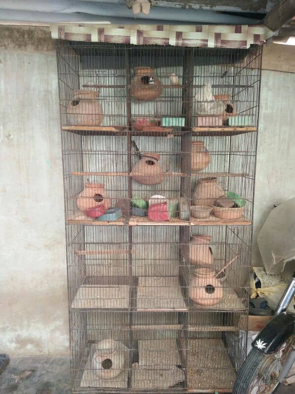 12 khany ka cage for sale 3