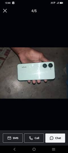 vivo