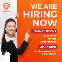 Online Job/Typing Job/Writing Job/Assignment Job/Remote work/data entr 0