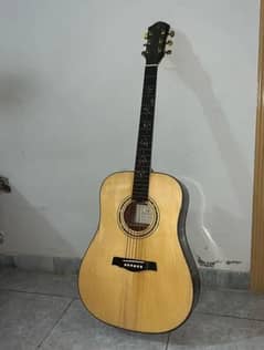 acoustic guitar