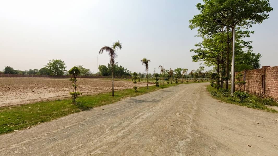 Farmhouse Land Available For Sale In Orchard Greenz Bedian Road 17