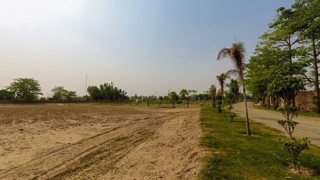 Farmhouse Land Available For Sale In Orchard Greenz Bedian Road 23