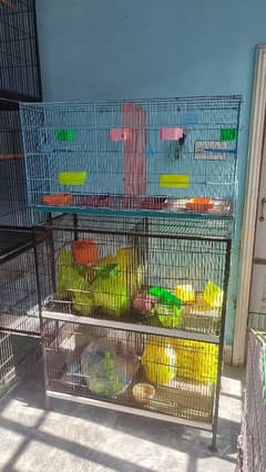 Cages / Flying Cages for Sale