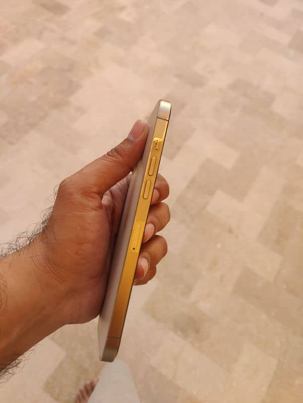 iPhone 12 Pro Max 256Gb Gold LLA PTA Approved 2