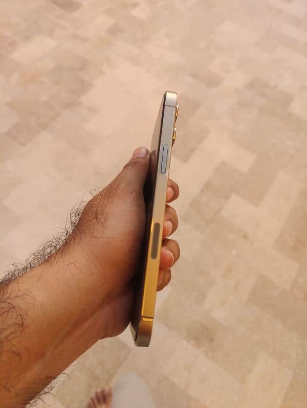 iPhone 12 Pro Max 256Gb Gold LLA PTA Approved 5