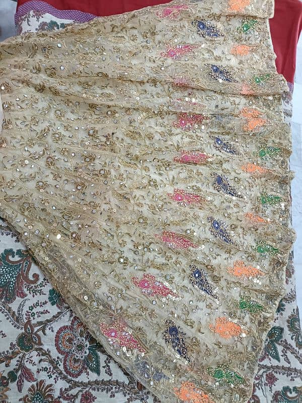 Mehndi Lehnga 2