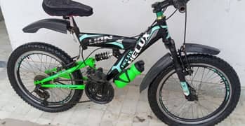 20 size MTB lion by helux