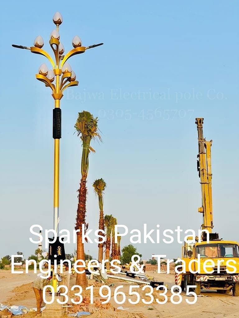 street light poles / Road lights / decorative light / lightsand poles 7