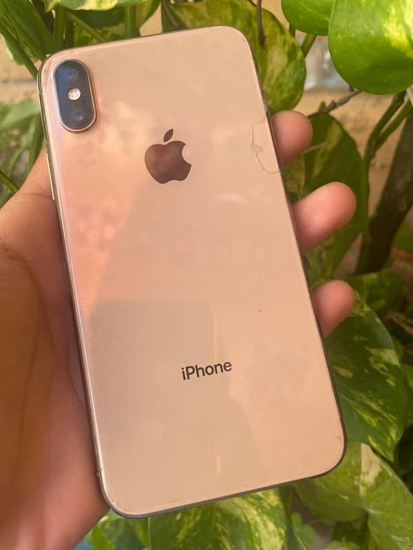 iPhone Xs • 256gb • Nonpta 0