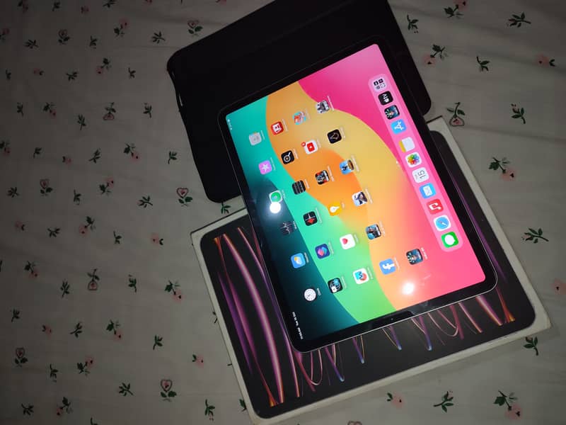 ipad pro m2 256 gb 10 month waranty with box orignal charger 0