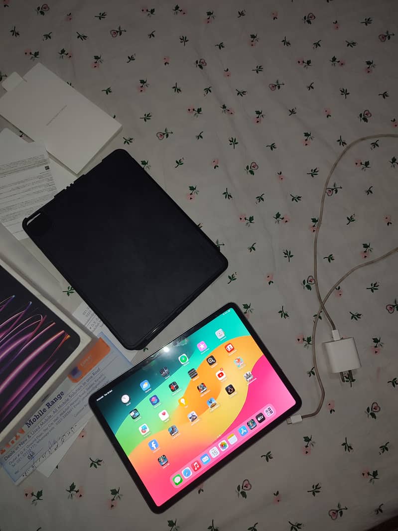 ipad pro m2 256 gb 10 month waranty with box orignal charger 4