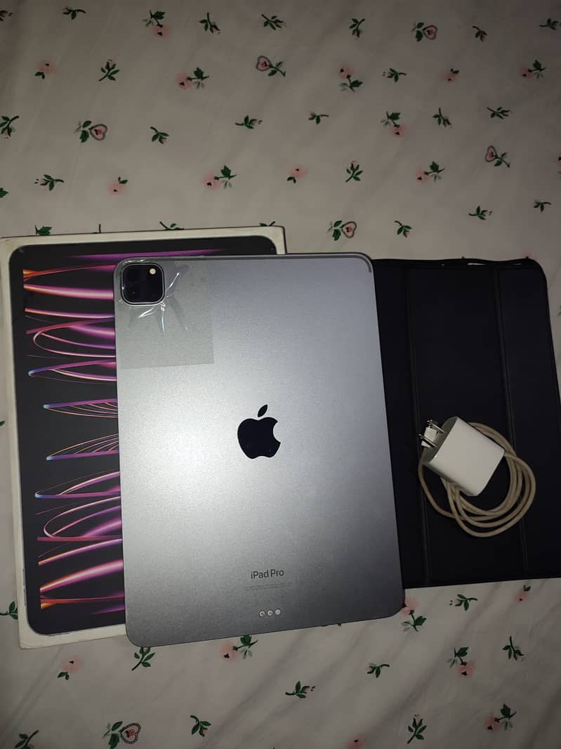 ipad pro m2 256 gb 10 month waranty with box orignal charger 7