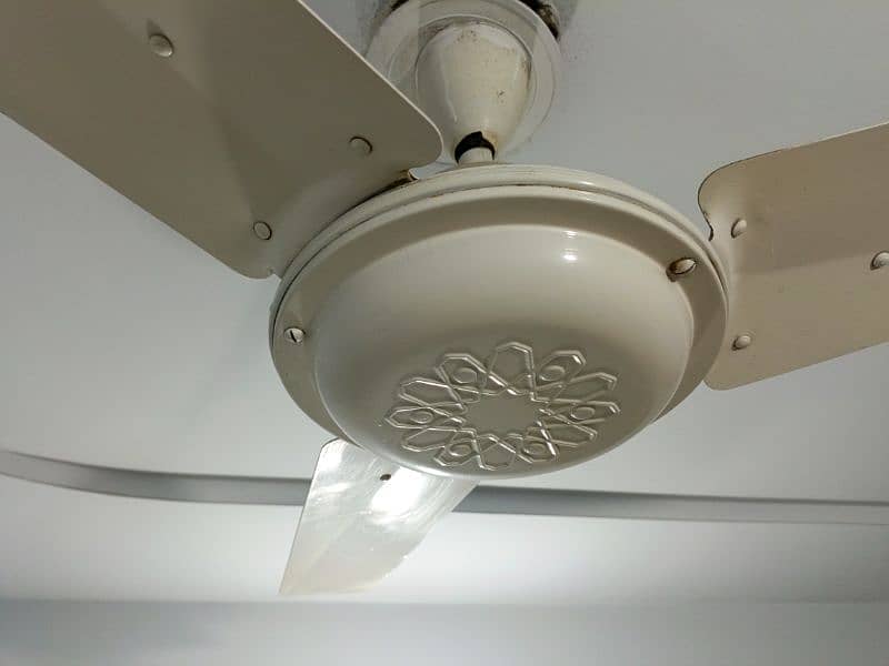 Celling Fans 3