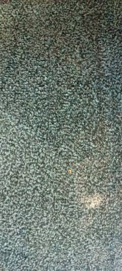 carpet for sale