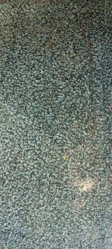 carpet for sale 0