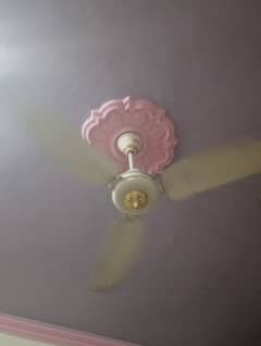 Royal Ceiling Fan