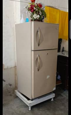 HAIER MEDIUM SIZE FRIDGE.