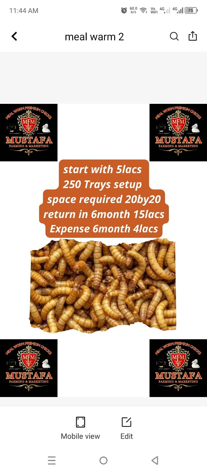 Mealworms | Usa breed Mealworms | beetle| larva | pupa | just Rs : 1/- 1