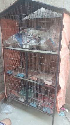 birds cage for sale