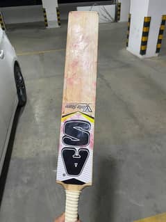 AS Champ English willow bat