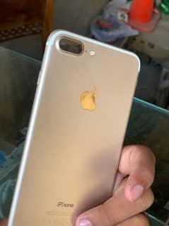 7 plus pta