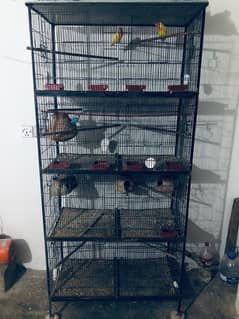 urgent sale Cage