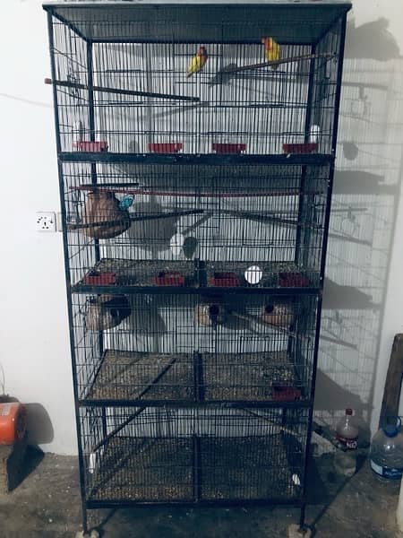 urgent sale Cage 0