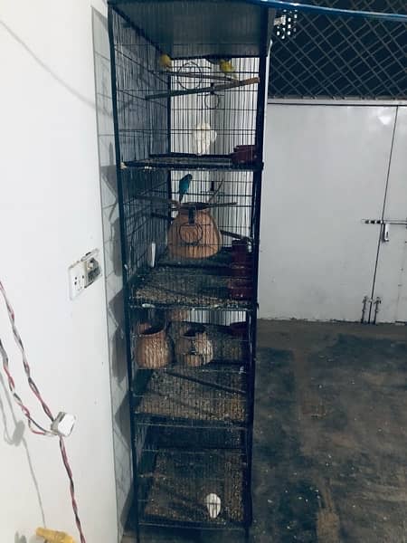 urgent sale Cage 1