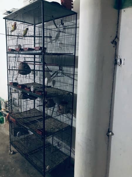 urgent sale Cage 2