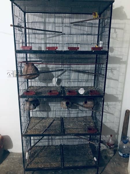 urgent sale Cage 3