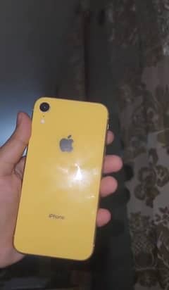 iPhone Xr PTA Approved