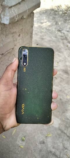 vivo