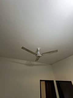 Ceiling Fans for sale