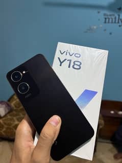 vivo