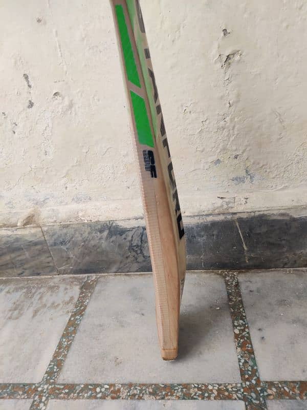 Stanford English willow bat for sale uk import 4