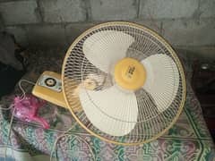 fan