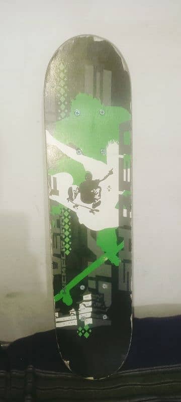 skate board 1